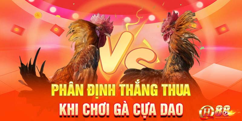 Luật chơi chi tiết game đá gà cựa dao