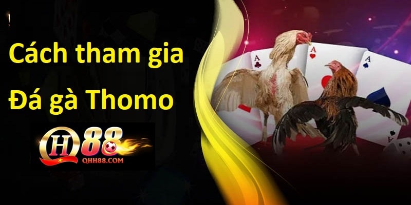 Tham gia cá cược đá gà Thomo tại sảnh mang lại tỷ lệ thắng cao